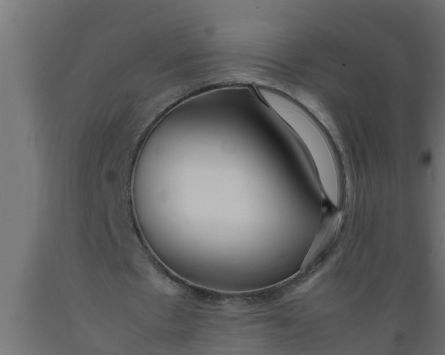 X0000089460481200707061306