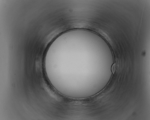 X0000089460482200707061306
