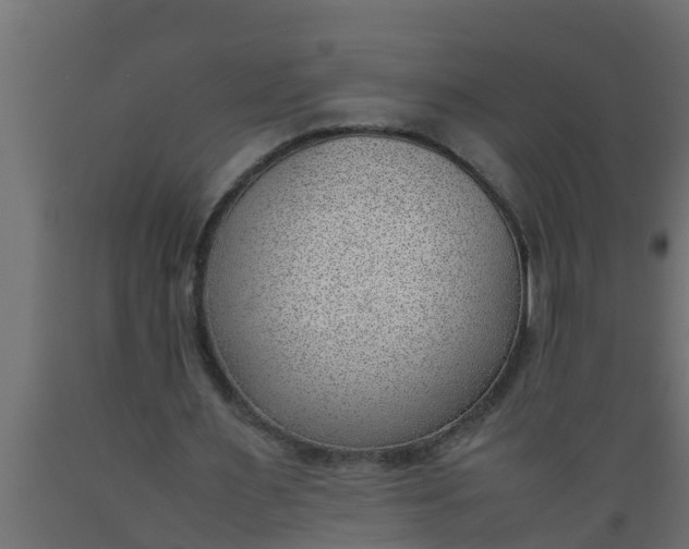 X0000089460483200707061306