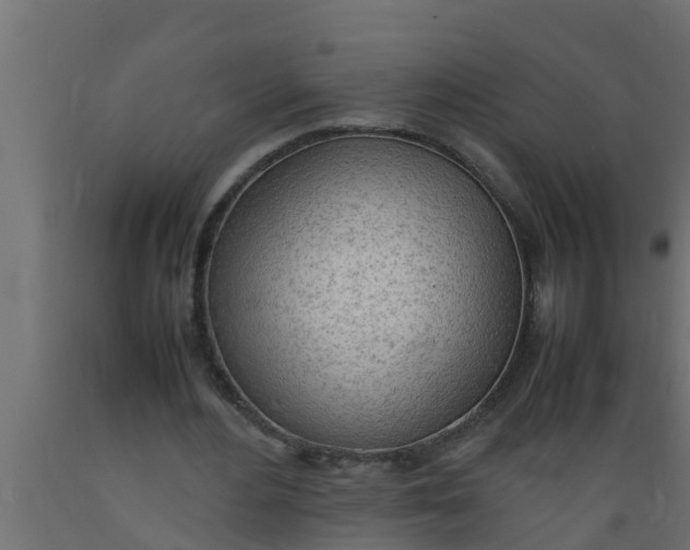 X0000089460484200707061306
