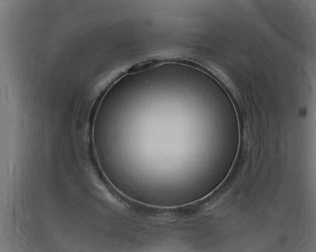 X0000089460485200707061306