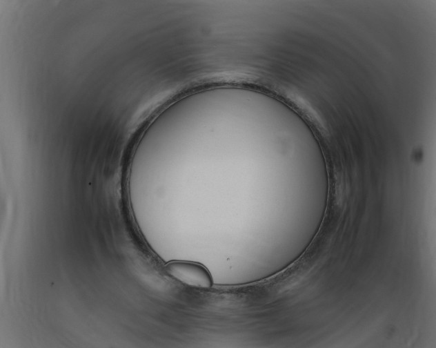 X0000089460486200707061306