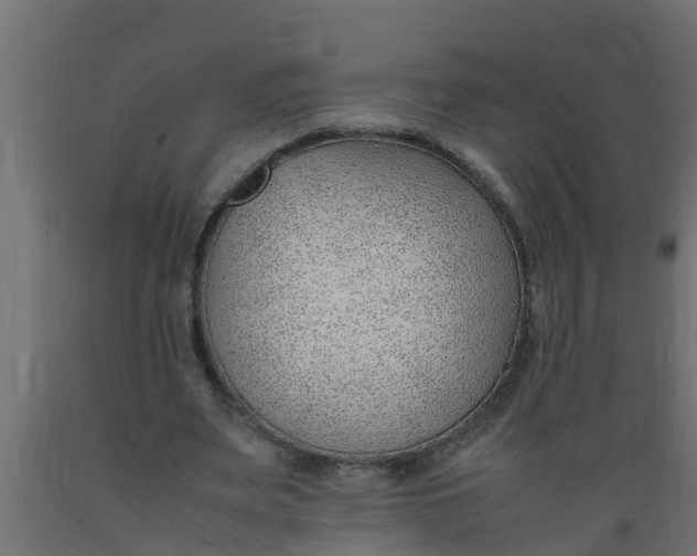 X0000089460487200707061306