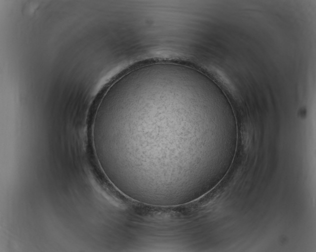X0000089460488200707061306