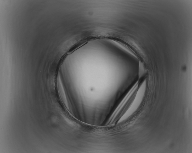 X0000089460489200707061306