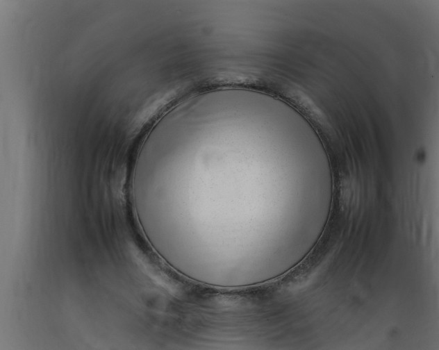 X0000089460490200707061306