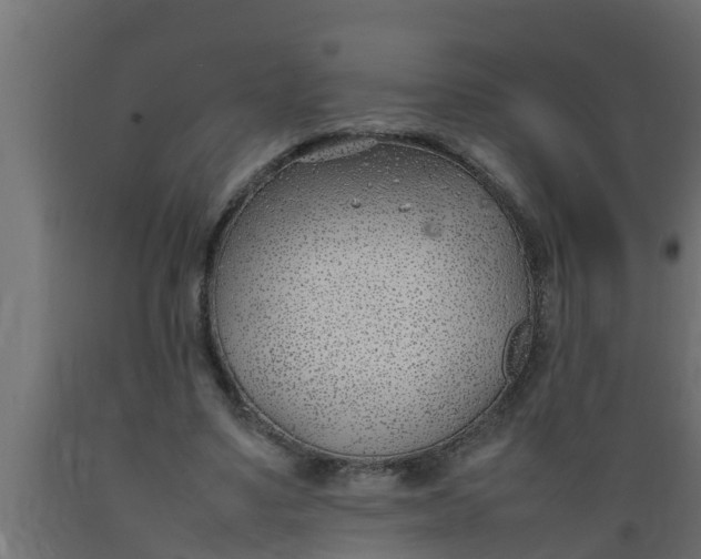 X0000089460491200707061306