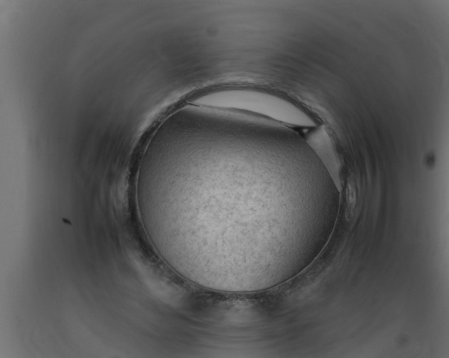 X0000089460492200707061306