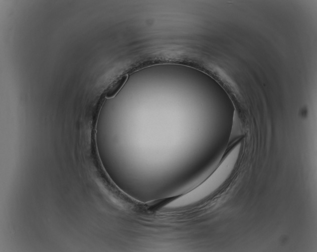 X0000089460493200707061306