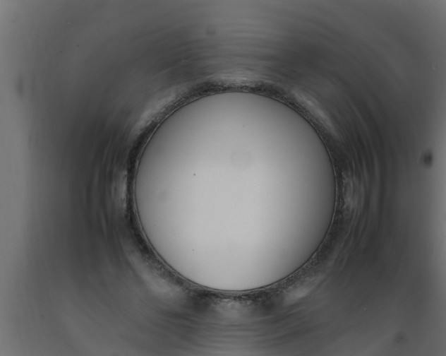 X0000089460494200707061306