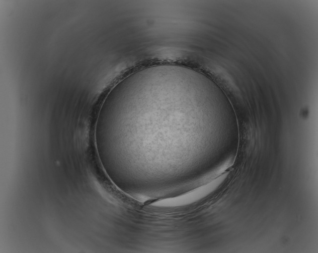 X0000089460496200707061306