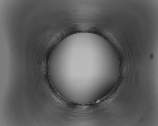 X0000089460497200707061306