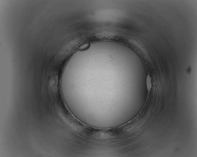 X0000089460498200707061306