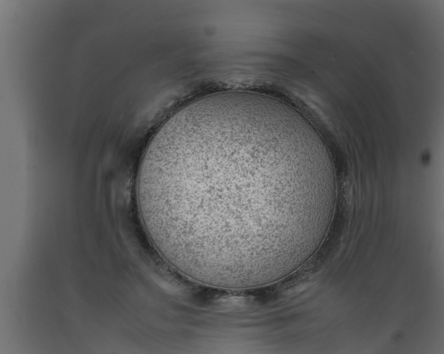 X0000089460499200707061306