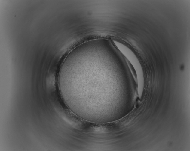 X0000089460500200707061306
