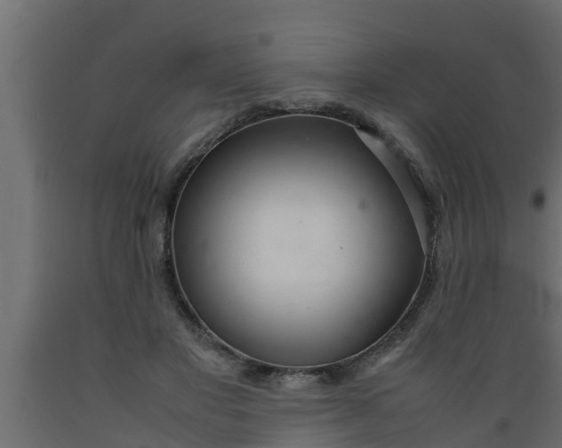 X0000089460501200707061306