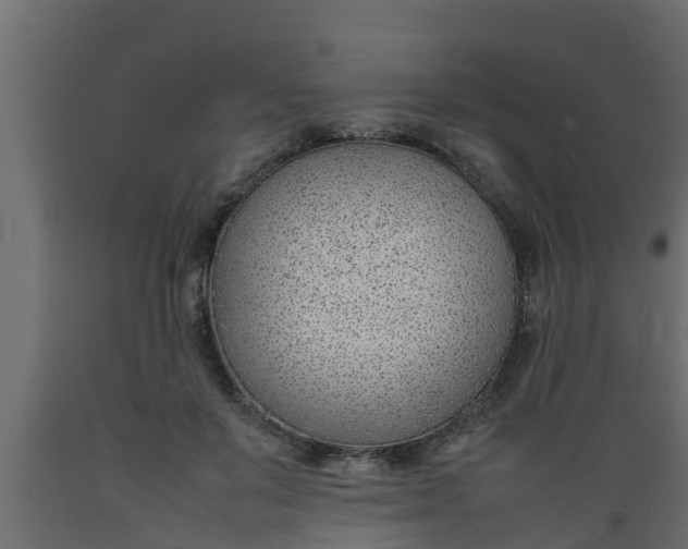 X0000089460503200707061306