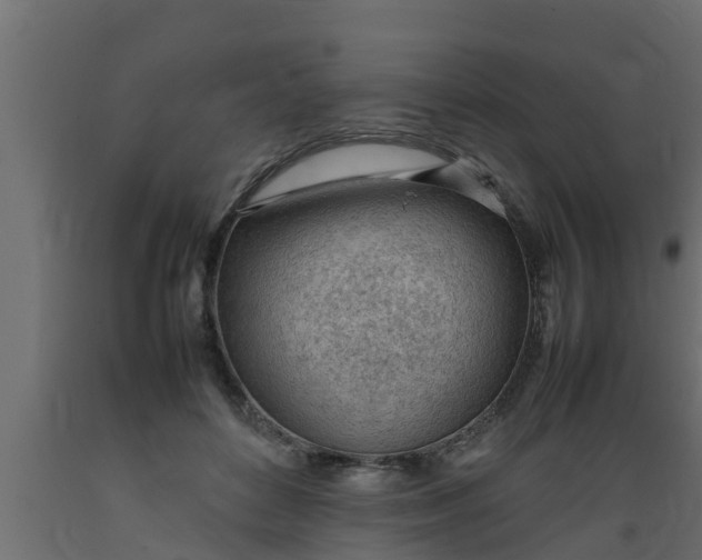 X0000089460504200707061306