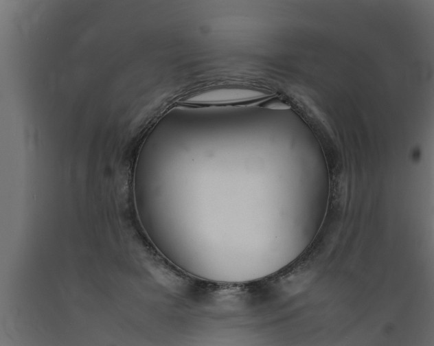 X0000089460505200707061306