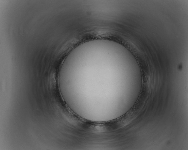 X0000089460506200707061306