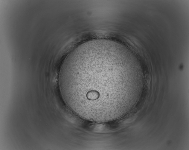 X0000089460507200707061306
