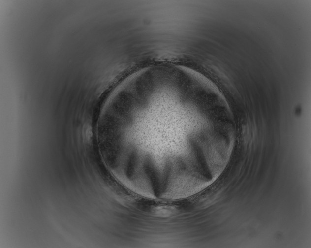 X0000089460508200707061306