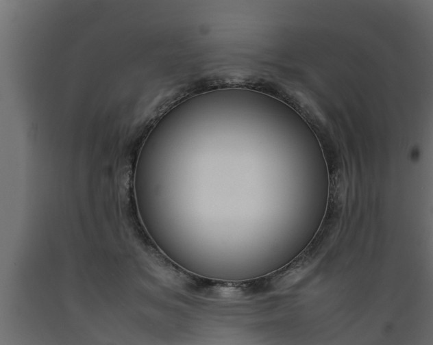 X0000089460509200707061306