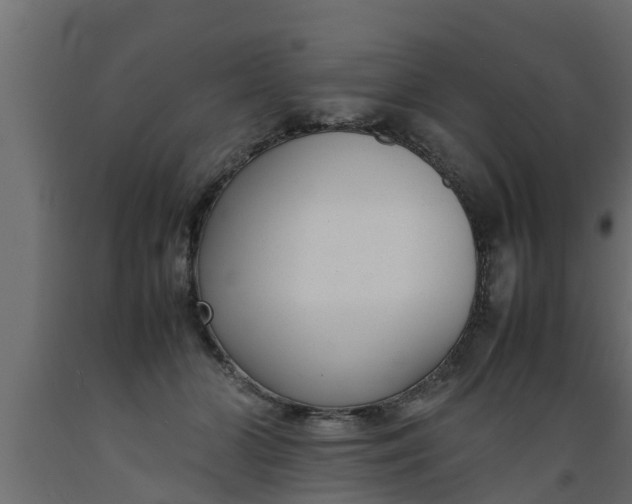 X0000089460510200707061306