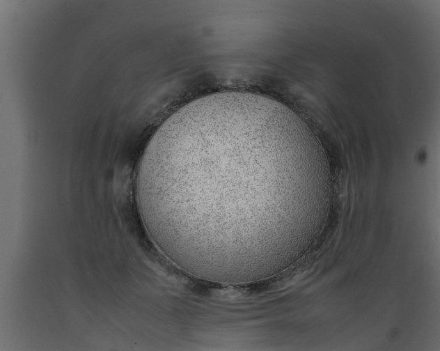 X0000089460511200707061306