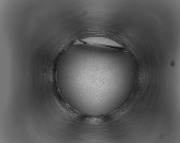 X0000089460512200707061306