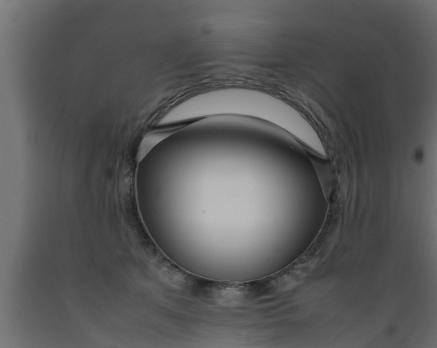 X0000089460513200707061306