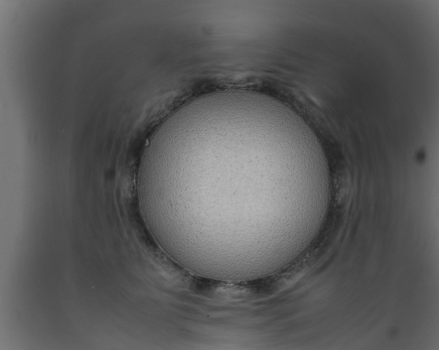 X0000089460515200707061306