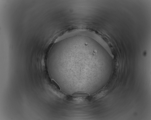 X0000089460516200707061306