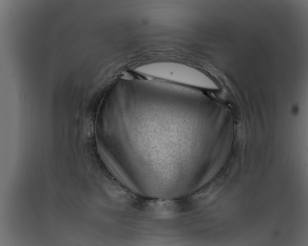 X0000089460517200707061306
