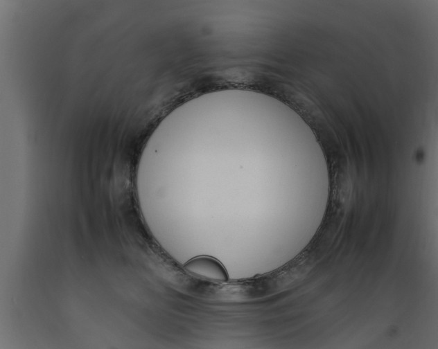 X0000089460518200707061306