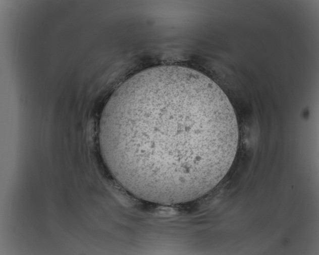 X0000089460519200707061306