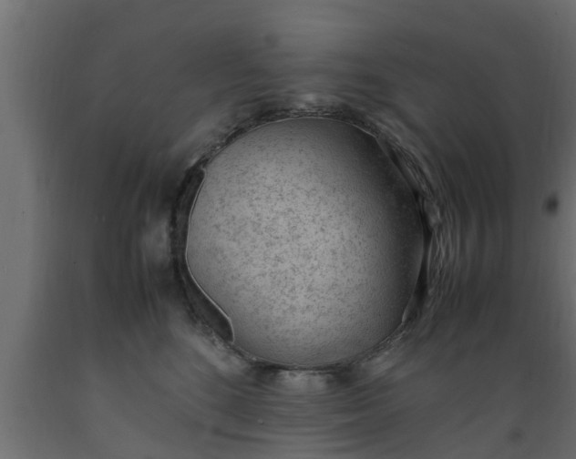 X0000089460520200707061306