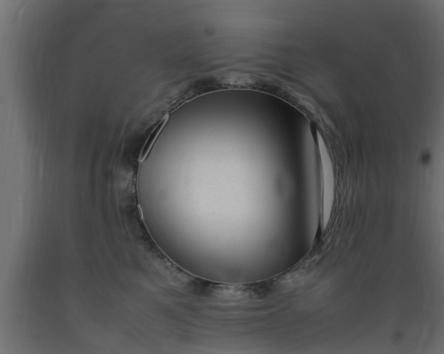 X0000089460521200707061306