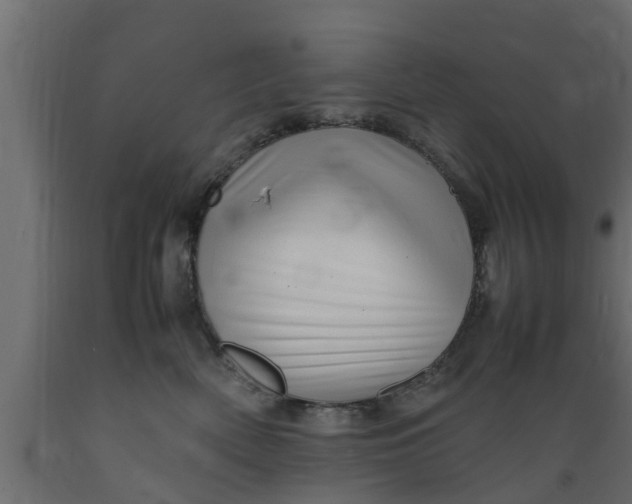 X0000089460522200707061306