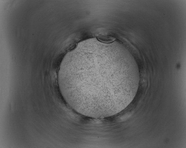 X0000089460523200707061306