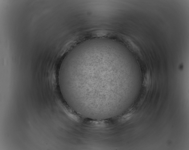 X0000089460524200707061306