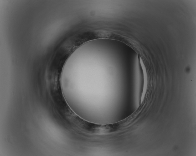 X0000089460525200707061306