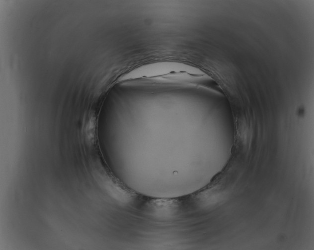 X0000089460526200707061306