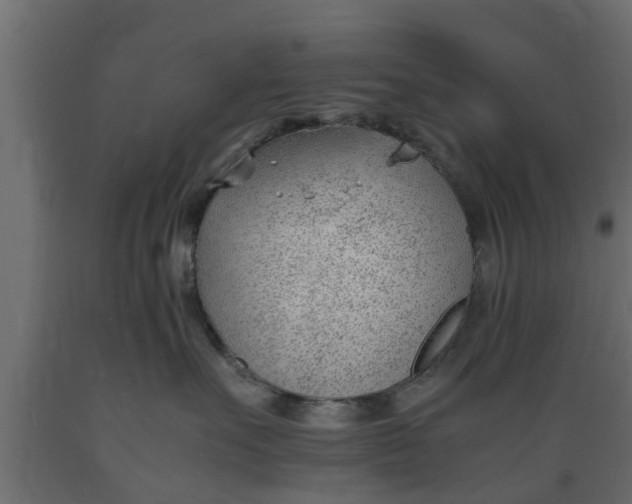 X0000089460527200707061306