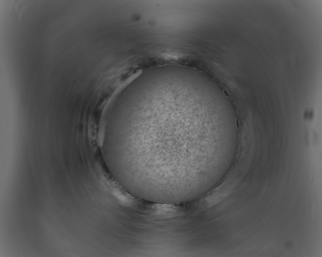 X0000089460528200707061306