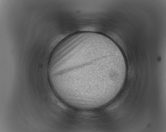 X0000089460529200707061305