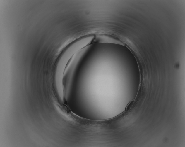 X0000089460530200707061305