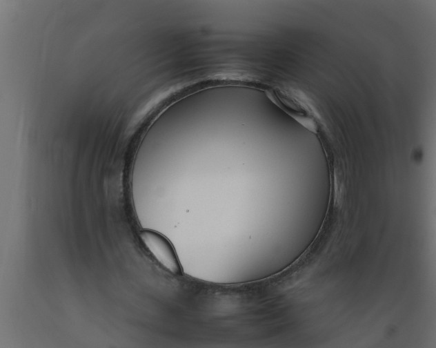 X0000089460531200707061305