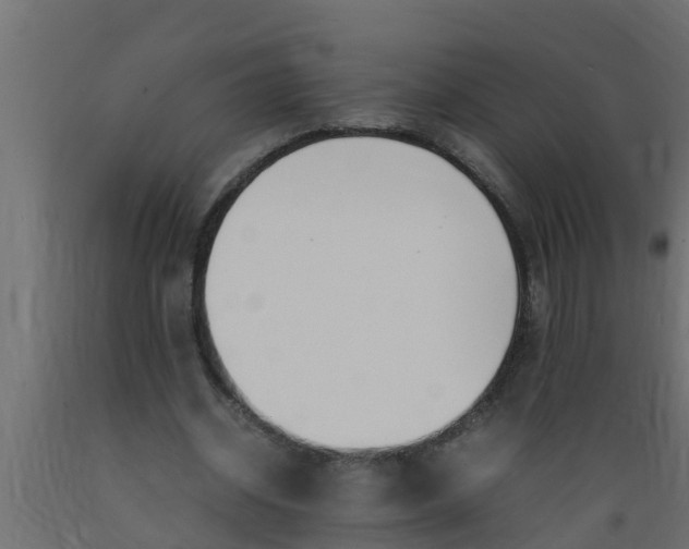 X0000089460534200707061305