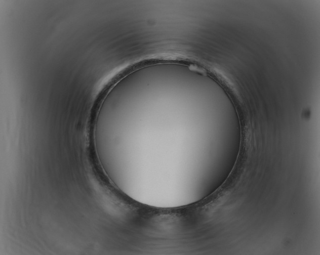 X0000089460536200707061305